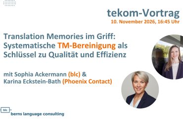 Translation Memories im Griff: Systematische TM-Bereinigung als Schlüssel zu Qualität und Effizienz