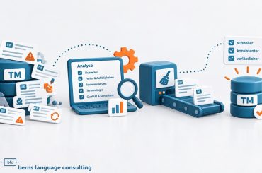 TM Translation Memory Bereinigung